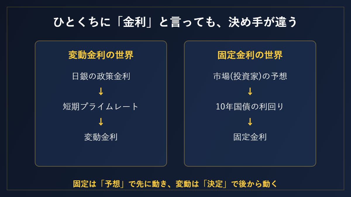 ひとくちに「金利」と言っても、決め手が違う