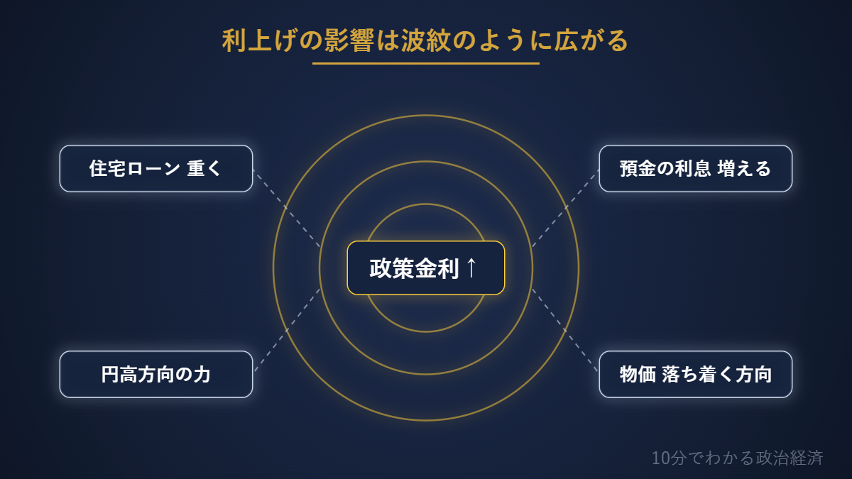 利上げの波及効果の図解