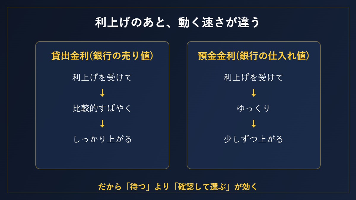 利上げのあと、動く速さが違う
